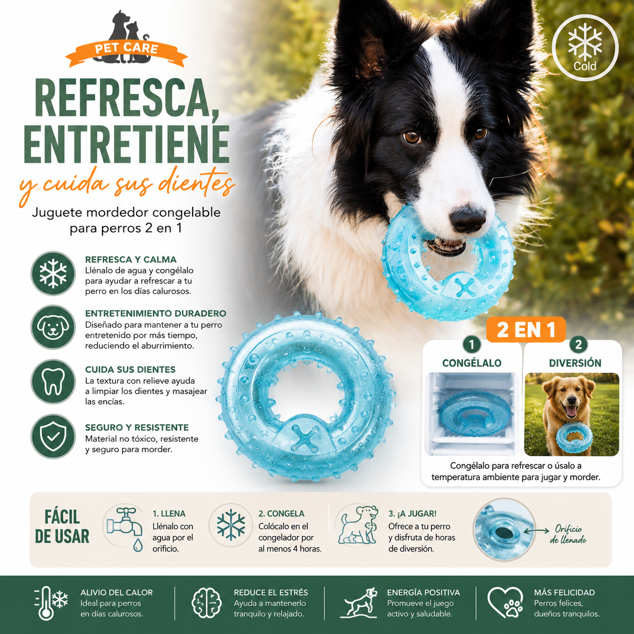 Mordedor Congelable 2 en 1 para Perros – Refresca, Divierte y Protege sus Dientes