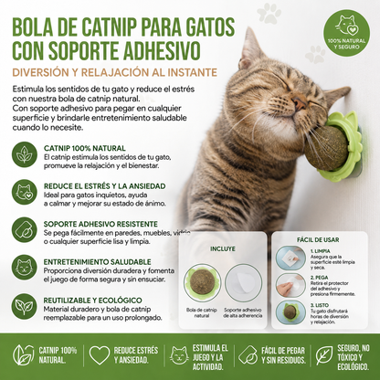 Bola de Catnip para Gatos con Soporte Adhesivo – Diversión y Relajación al Instante