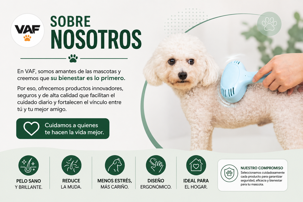 Acerca de nosotros