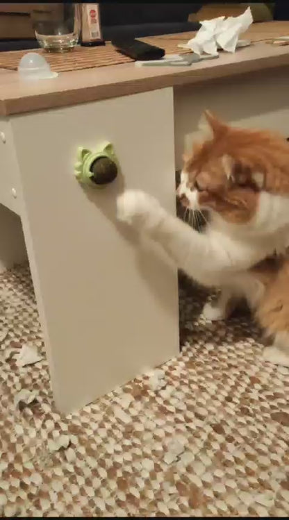 Bola de Catnip para Gatos con Soporte Adhesivo – Diversión y Relajación al Instante