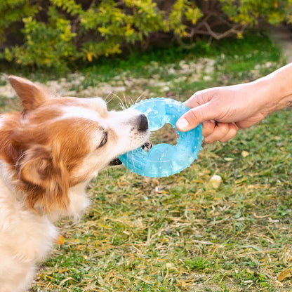 Juguete mordedor congelable para perros 2 en 1 – Refresca, entretiene y cuida sus dientes Dropea