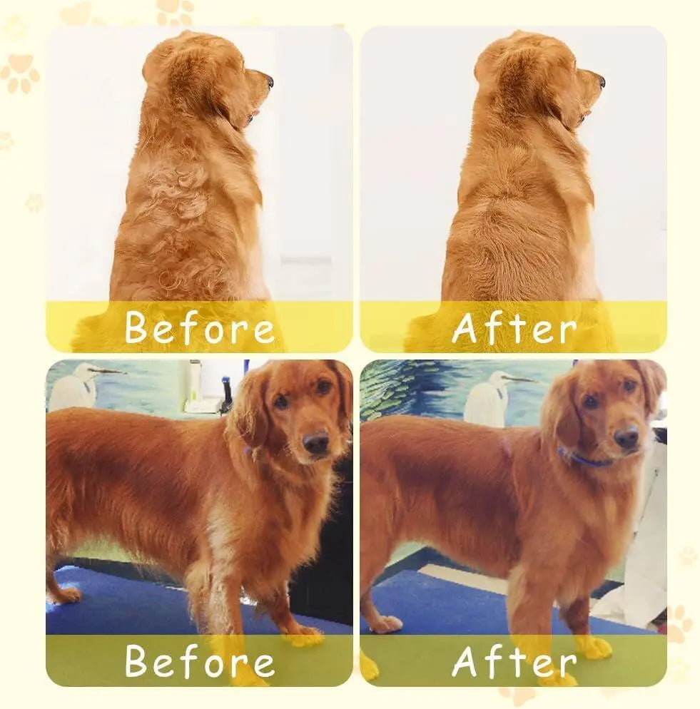 Cepillo de vapor para mascotas – Limpieza profunda y eliminación de pelo sin estrés Dropea