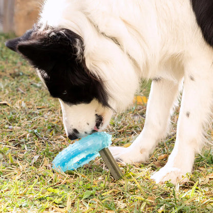 Juguete mordedor congelable para perros 2 en 1 – Refresca, entretiene y cuida sus dientes Dropea