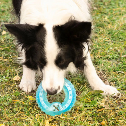 Juguete mordedor congelable para perros 2 en 1 – Refresca, entretiene y cuida sus dientes Dropea