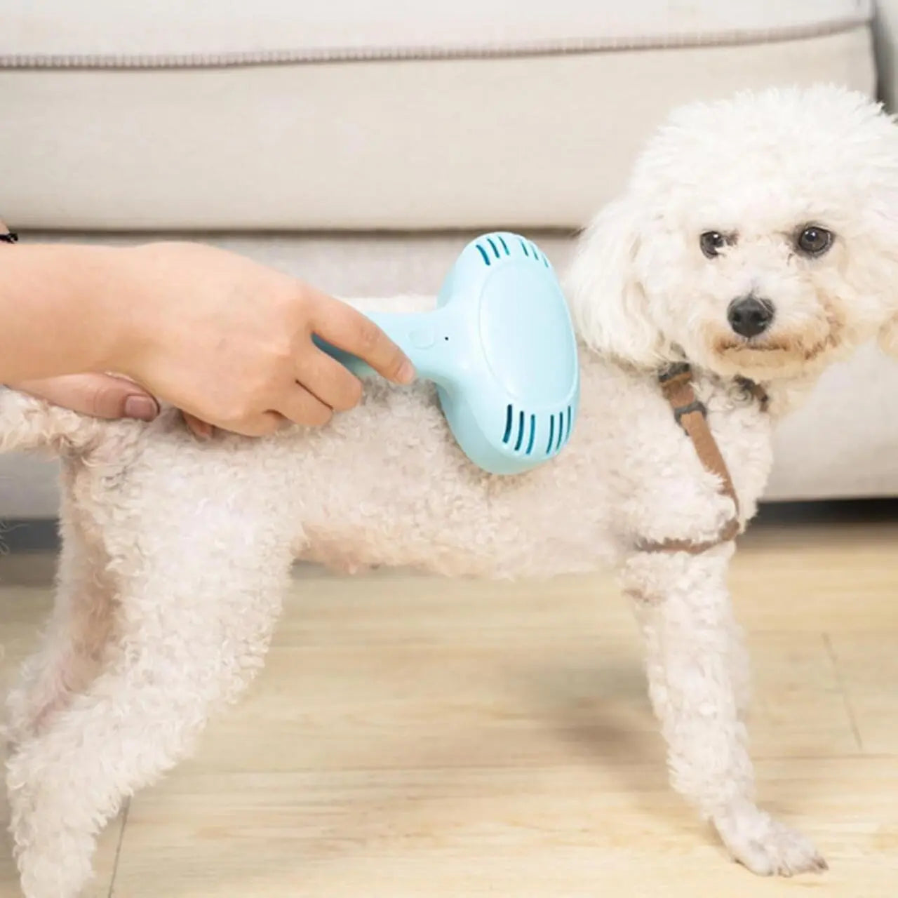 Cepillo eléctrico quitapelos para mascotas – Elimina pelo y nudos sin tirones Dropea